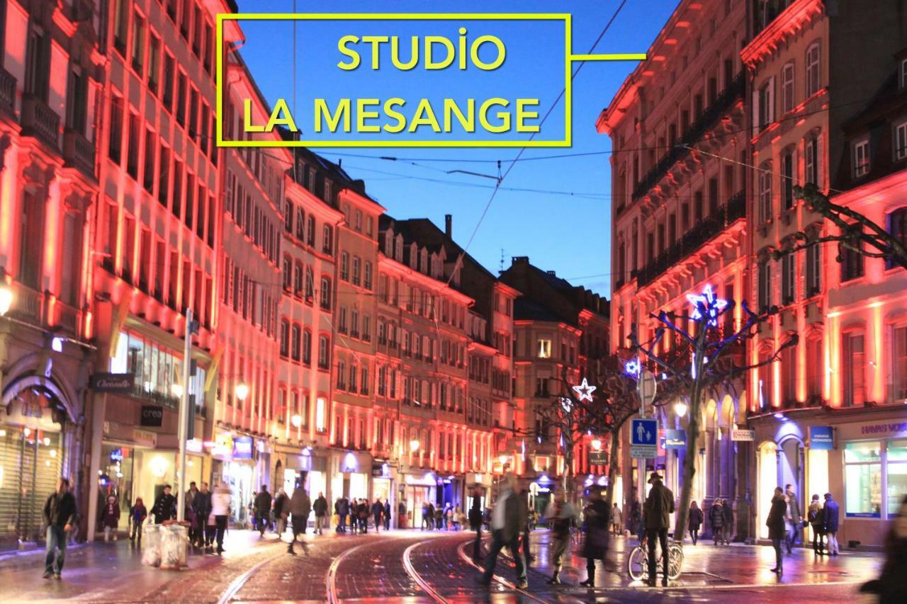Studio La Mesange Страсбург Екстериор снимка